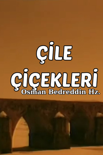 Osman Bedreddin Hazretleri - Çile Çiçekleri