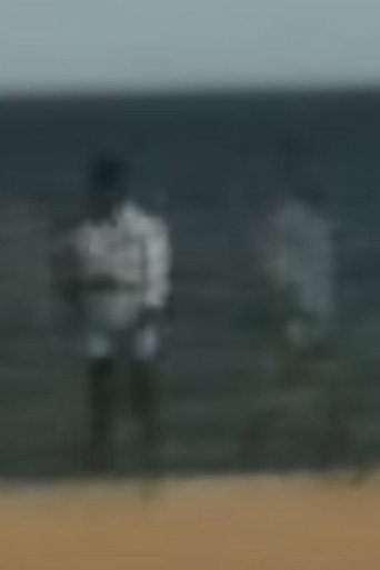 These Are Not My Images (neither there nor here)