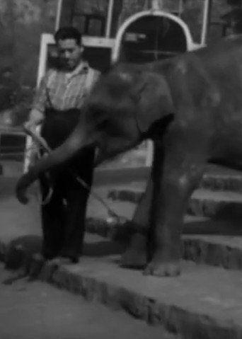 National Zoological Garden