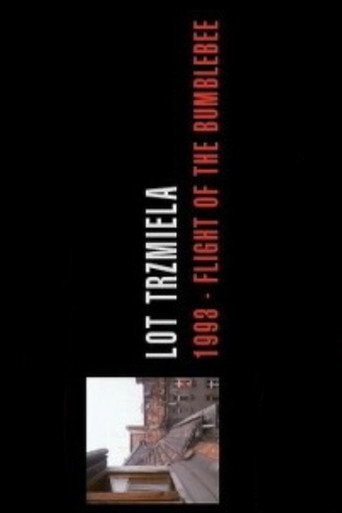 Flight of the Bumblebee