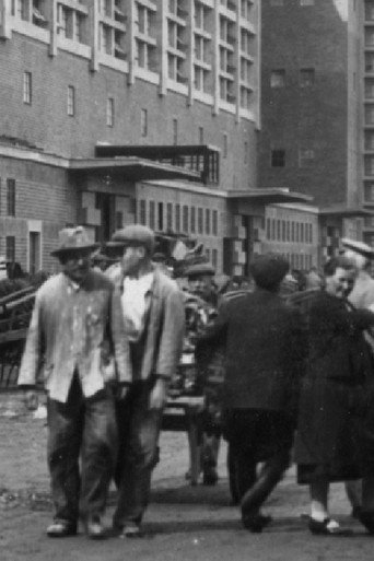 Bau und Einweihung der Großmarkthalle