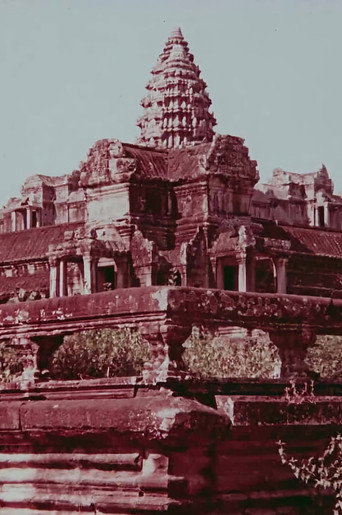 Angkor β SOS in the jungle