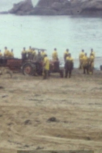 Collection sรฉrie noire : Tome 4