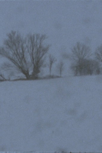 Landscape as Landscape - 21