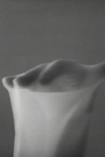 Movements in Light