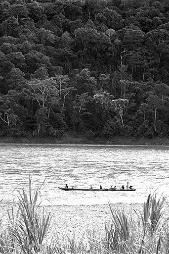 Before We Knew Nothing