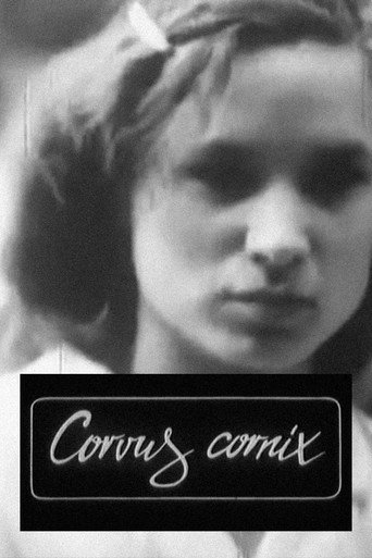 Corvus Cornix - From Latin as Raven