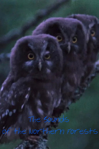 The Sounds of the Northern Forests