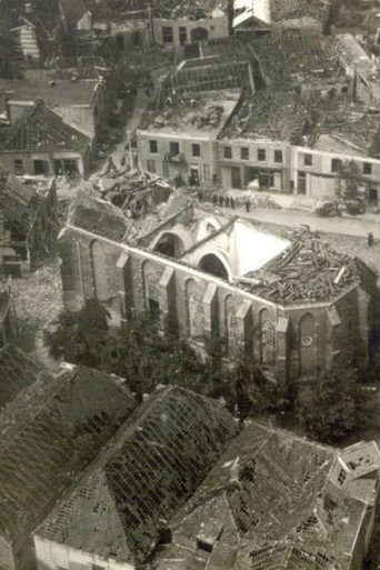 The Destruction of Borculo