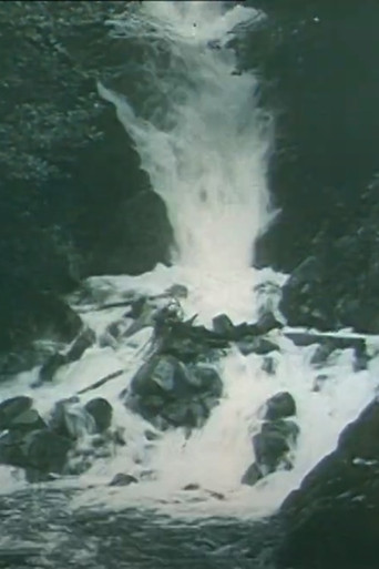 Through the Alb Valley to Sankt Blasien