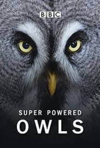 Super Powered Owls