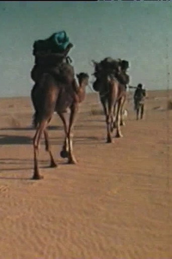 La dernière guémaré des Némadis