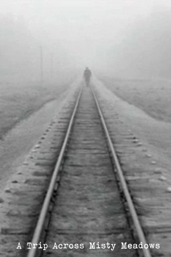 A Trip Across Misty Meadows