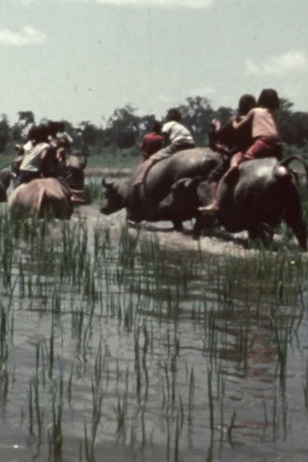 La fête des eaux à Vientiane