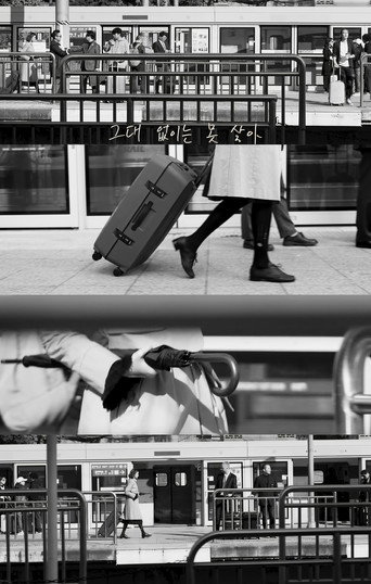 Canβt Live Without You