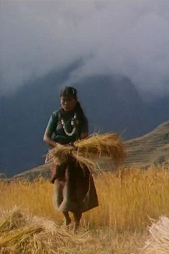 Le fardeau et la provende