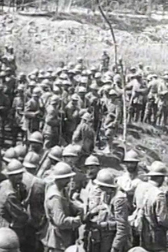 Montaggio di riprese dal vero