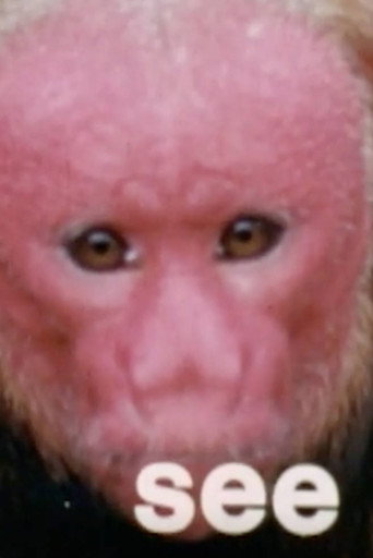 Monkey See, Monkey Do: Verbs