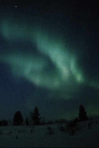 Nordlicht