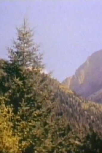 In the Embrace of Shar Mountain