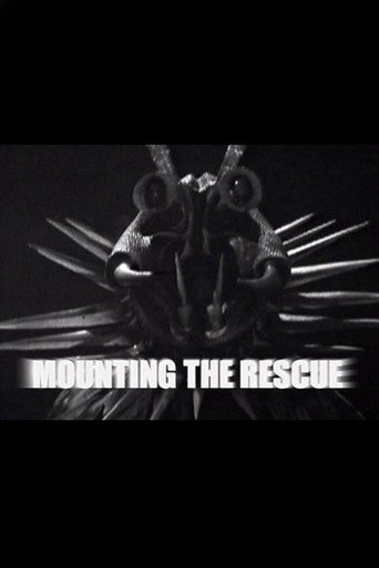 Mounting the Rescue