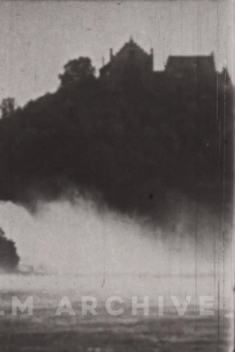 The Little Swiss Woodcarver