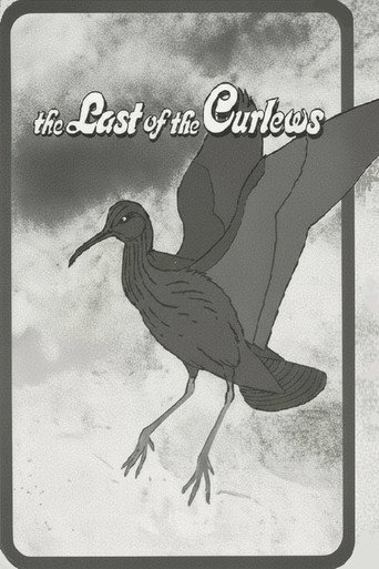 The Last of the Curlews