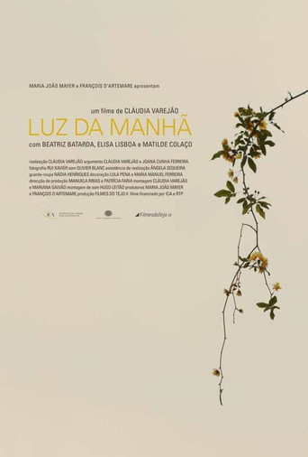 Luz da ManhΓ£