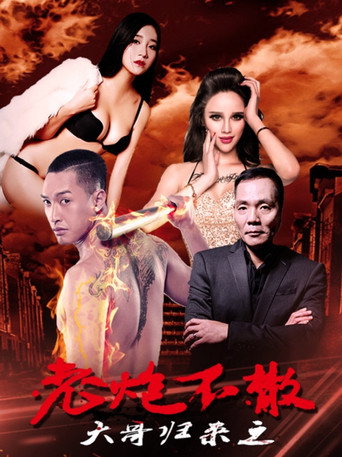 大哥归来之老炮不散