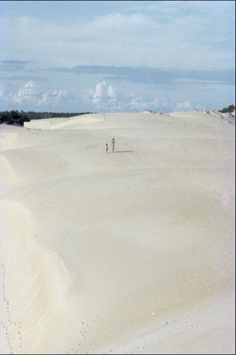 Itaúnas: Ecological Disaster