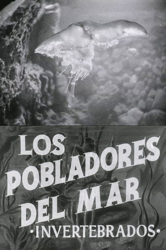 Pobladores del mar: Los invertebrados