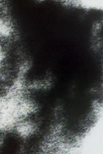 Friends Along the Way