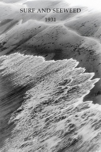 Surf and Seaweed