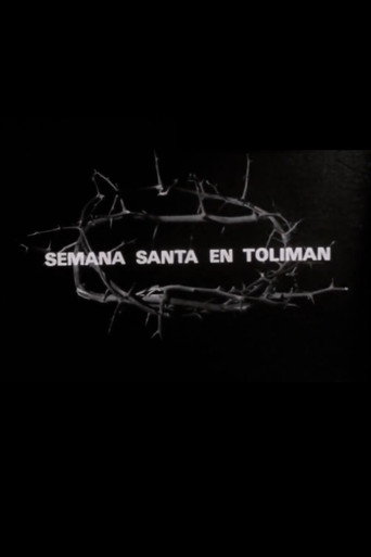 Semana Santa en Tolimán