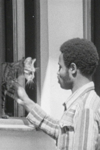 The Invisible People