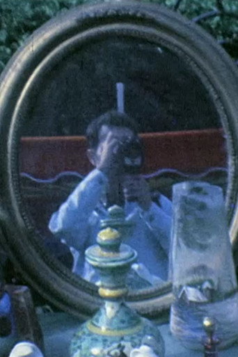 J'ai perdu mon Γ’me dans un miroir de brocante...