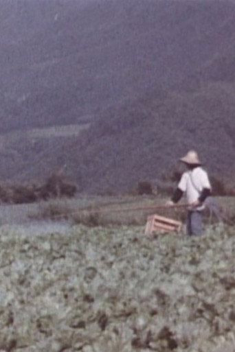 The Disaster of Pesticides