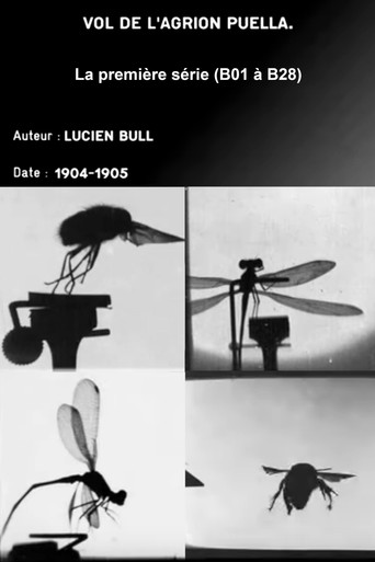 Series 1 (insect flights)