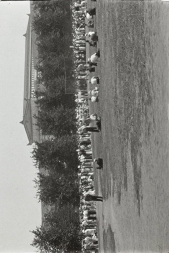 All-Star Baseball Meets at Grant Park
