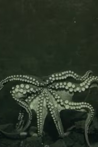 Life in the Deep Sea: Molluscs