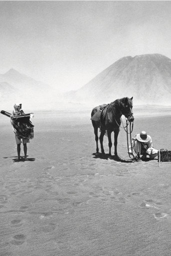 Colour and Splendour of the East