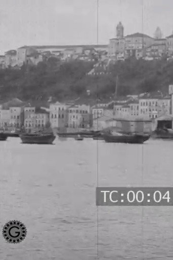 The city of Bahia and its surroundings