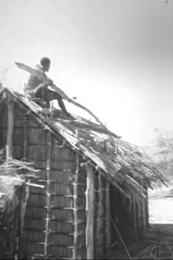 Pêche, bétail, tortues, coiffure chez les Vezo de Madagascar