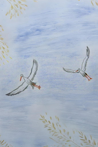 Latvia from a bird's eye view