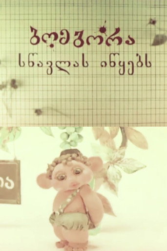 Bombora Begins to Study