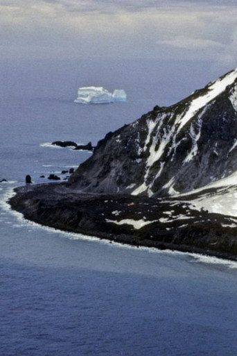 Expedition to Bouvetøya