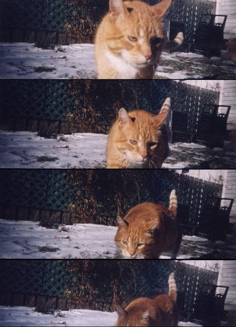 Nobody Knows