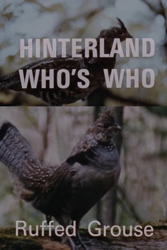 Hinterland Who's Who: Ruffed Grouse
