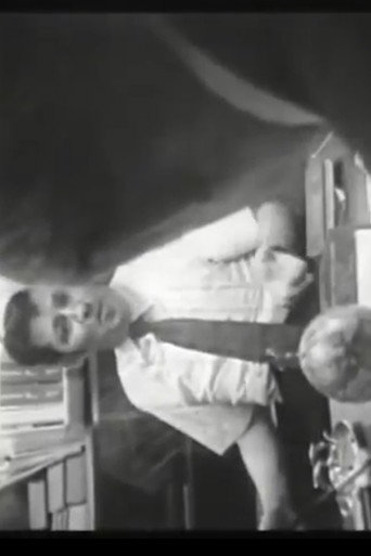 Who Shot Alexander Hamilton