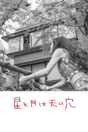 The Stars and the Moon are Holes in the Sky